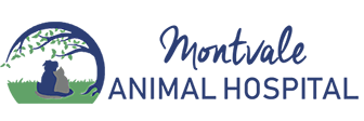 Link to Homepage of Montvale Animal Hospital